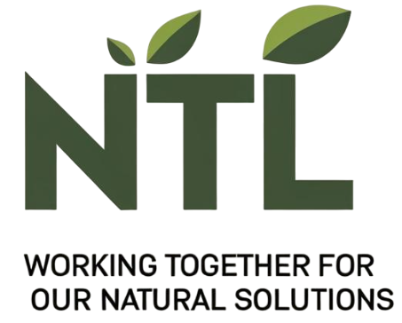 NTLMEKONG.COM